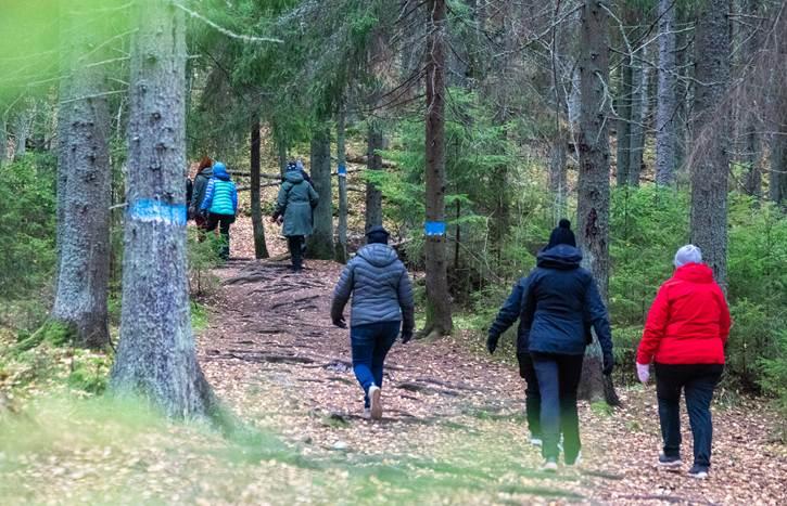 Kuva syksyisestä metsästä, jossa joukko ihmisiä kävelee poispäin kamerasta.